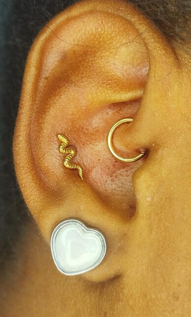 Conch e Daith